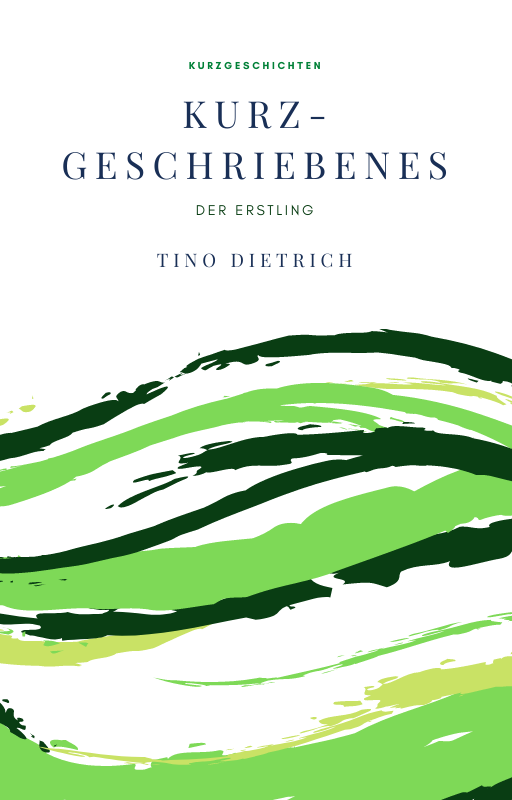 Kurzgeschriebenes der Erstling eBook Tino Dietrich
